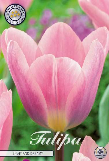 Tulipaner 'Light and Dreamy' - 7 stk. naturaliserende tulipanløk