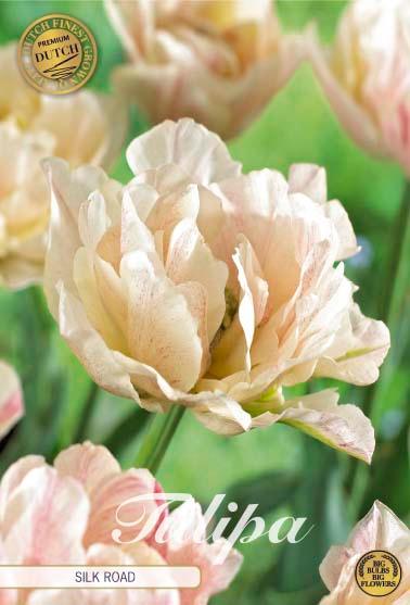 Tulipaner 'Silk Road' - 7 stk tulipanløk